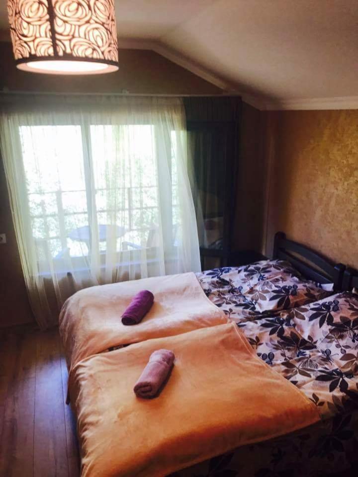 Bed and Breakfast Metitsa Juta Esterno foto